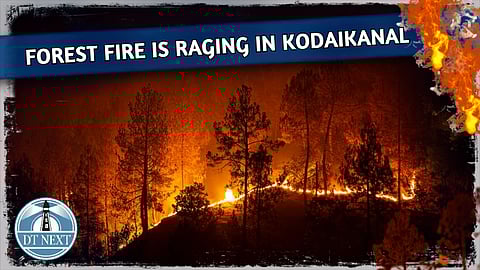 Forest fire is raging in Kodaikanal Cityview Forest