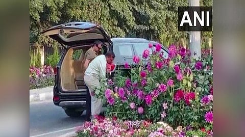 Visuals of two men stealing flower pots