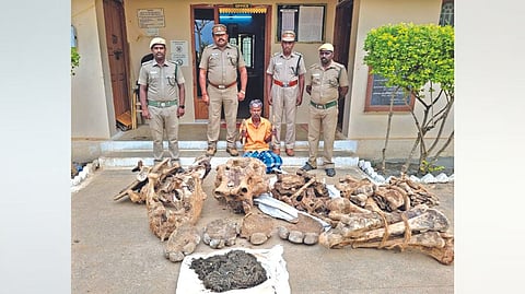 The arrested farmer with the
bones of the elephant