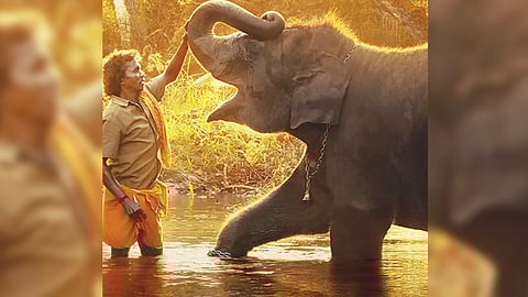 Poster of Elephant Whisperers