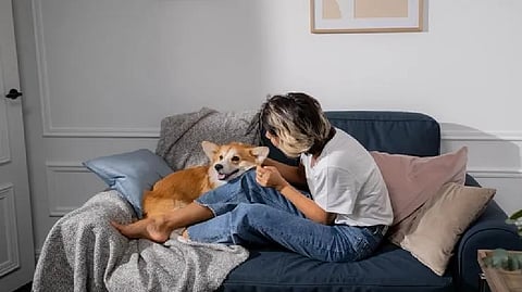 Representative image