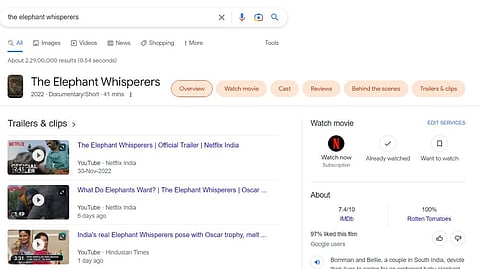 Google searches for 'The Elephant Whisperers' skyrocketed 8,164%