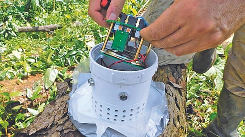 The BuzzBox provides the sound of bees without the accompanying stingers.