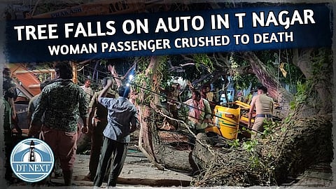 Tree falls on auto in T Nagar: Woman died