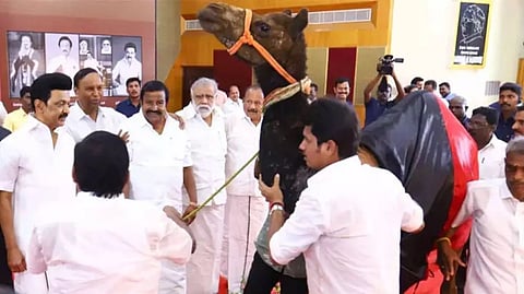 Special arrangement made by the party for volunteers to meet and greet Chief Minister MK Stalin