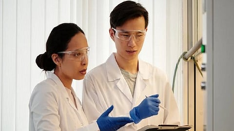 Representative image