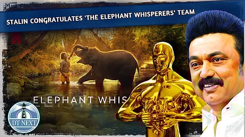 Stalin congratulates 'The Elephant Whisperers' team for Oscar win