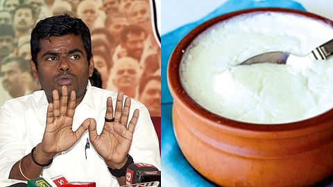 Annamalai (L) Representative image (R)