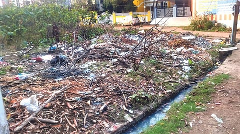 Heaps of garbage in the vacant site on 12th Street in Balaji Nagar.