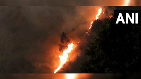 Visuals of forest fire near Kodaikanal hills in Dindigul district