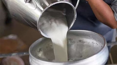 Milk traders protest in Madurai against Aavin. What's happening?