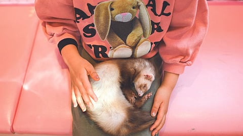 Representative image