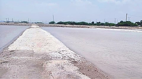 A view of salt pan in Thoothukudi