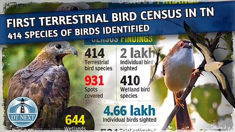 First terrestrial bird census conducted in TN