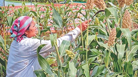 Representative image