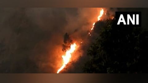 Forest fire in Tamil Nadu's Kodaikanal range