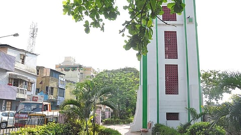 Residents thwart miscreants from removing tree in Thiru Vi Ka Nagar