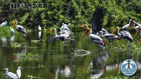 The authority will collect data pertaining to the amount of sediments stored in the wetlands apart from studying ecological, hydrological and biodiversity characters