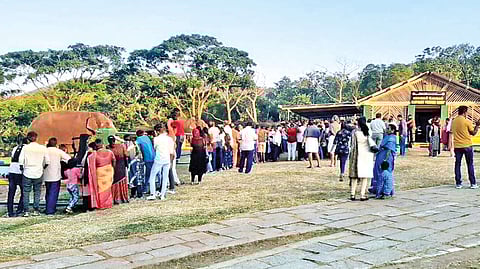 Tourists at Theppakadu elephant camp in Mudumalai