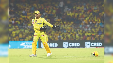 MS Dhoni has been playing despite nursing a knee injury