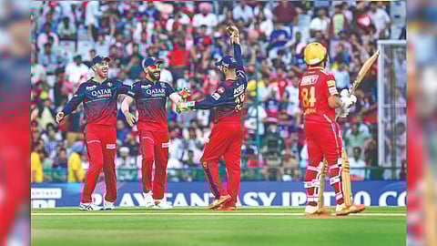 RCB?s Virat Kohli, Glenn Maxwell and Dinesh Karthik celebrate the wicket of Punjab?s Liam Livingstone on Thursday