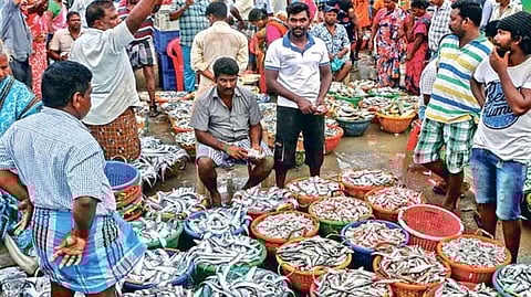 Kasimedu fish market (File photo)
