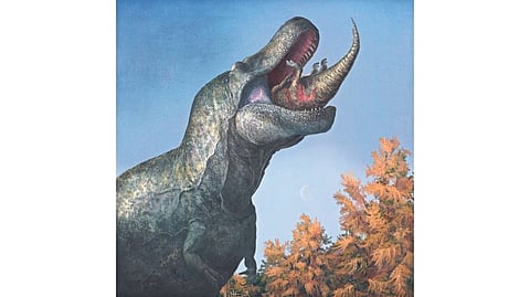 Representative image