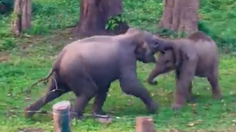 Screengrab from the video