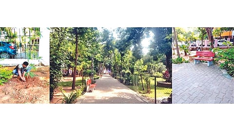 GCC carries out beautification works in city parks for summer