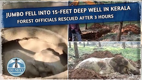Jumbo fell into well in Kerala, rescued after 3 hours