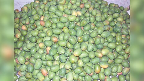 Representative image