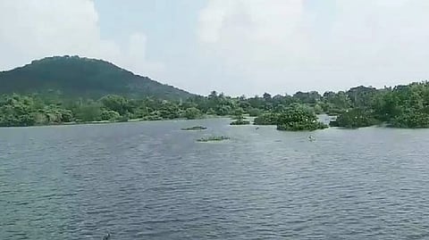 Vandalur lake