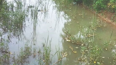 Representative image of waterbodies