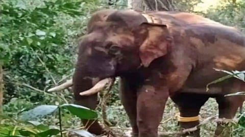 The incident occurred on Tuesday night.