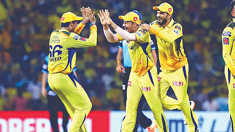 CSK players celebrate a wicket