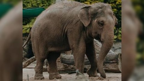 Representative Image