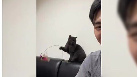 Screengrab from video