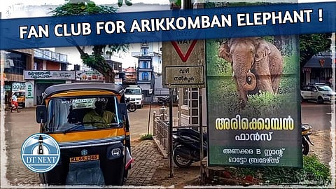 Fan club for Arikkomban elephant