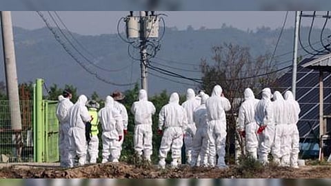 Representative Image