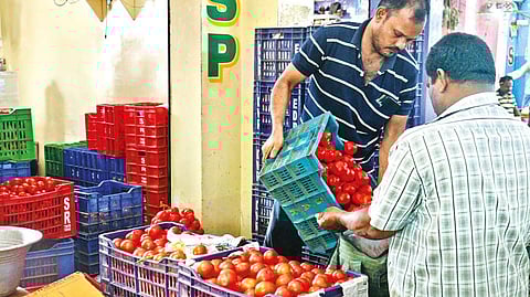 People buying tomatoes in dozens due to low prices