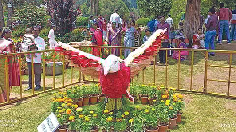 Tourists looking at a floral exhibit of emerald dove unique to the state at the annual flower show in Ooty on Friday