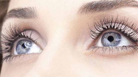 Study reveals human eyes play 'tricks' on minds