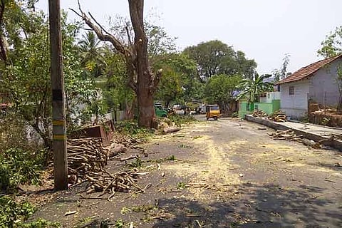 Trees were pruned on the relaid Ettimadai railway station road in Coimbatore