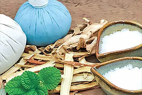 Gastronama: Culinary use of edible camphor