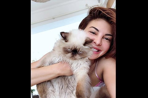 Jacqueline Fernandez