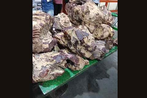 The red sanders logs seized