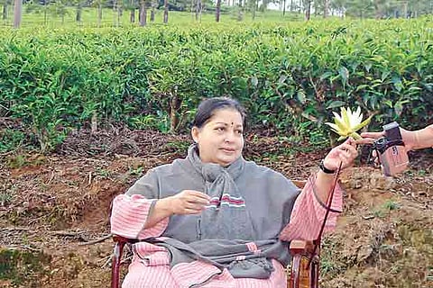 Jayalalithaa at Kodanad estate