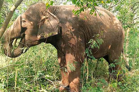 Representative Image