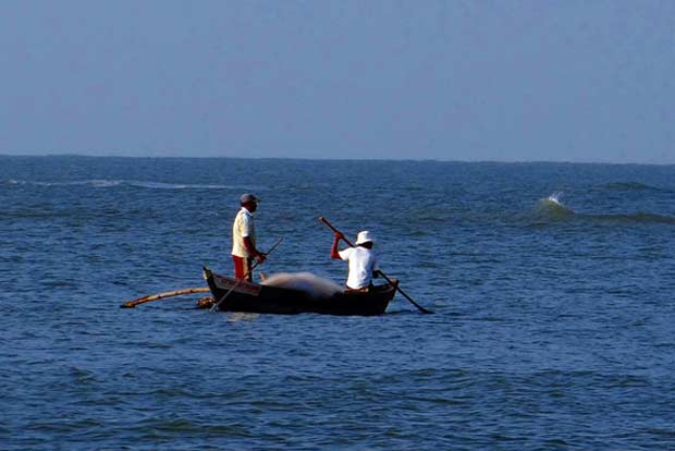 Representative Image