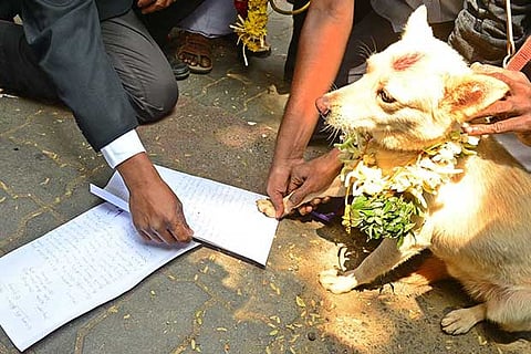 TPDK members take the footprint of the dog in the divorce petition in Coimbatore on Thursday